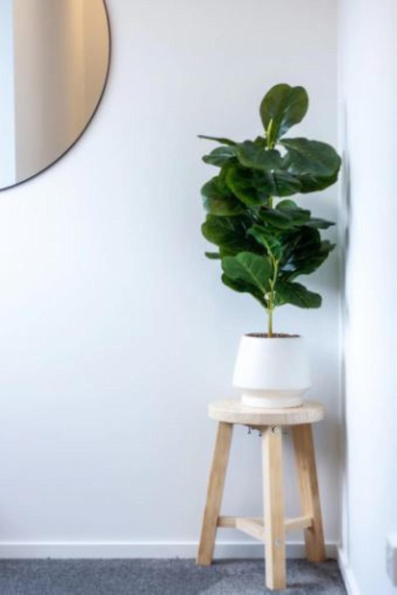 Christchurch Entertainment Hub 2 Bed 2 Bath W Carpark Eksteriør bilde